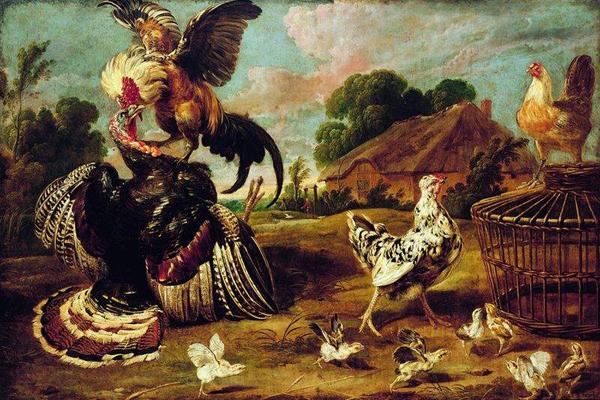 Paul de Vos The fight between a turkey and a rooster. Germany oil painting art
